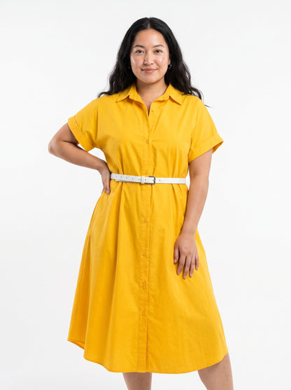 AVENU. The Brightside Shirt Dress